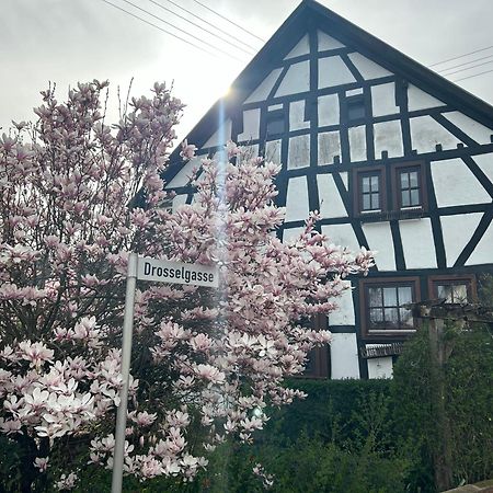 Das Pautzen Haus เดาน์ ภายนอก รูปภาพ