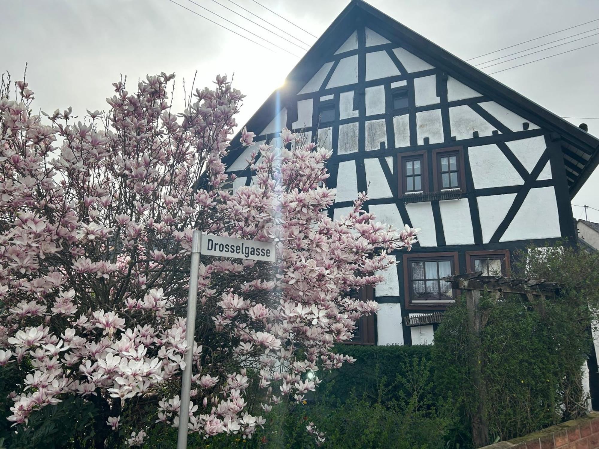 Das Pautzen Haus เดาน์ ภายนอก รูปภาพ
