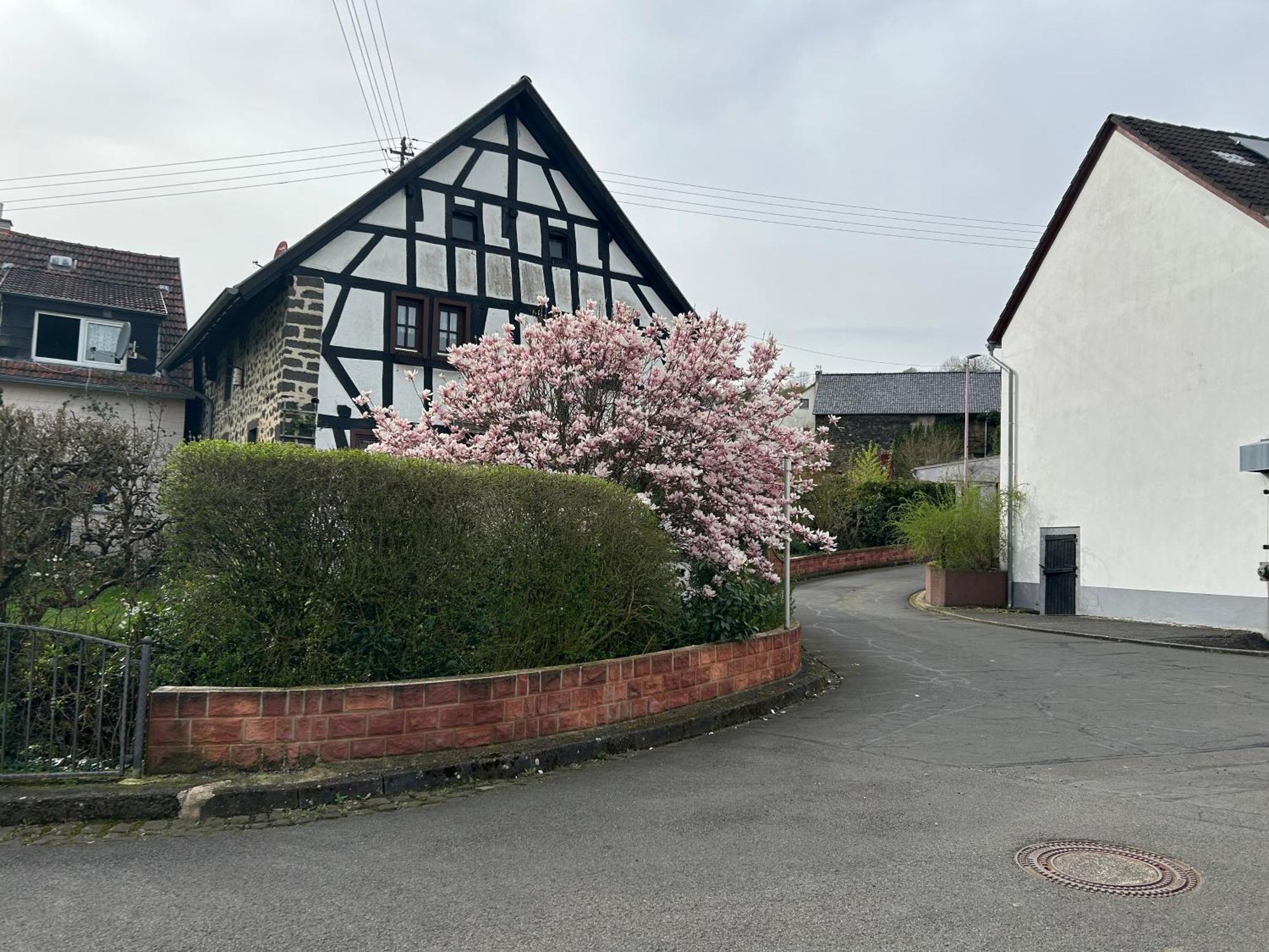 Das Pautzen Haus เดาน์ ภายนอก รูปภาพ
